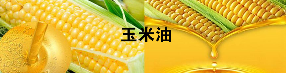 ͽ